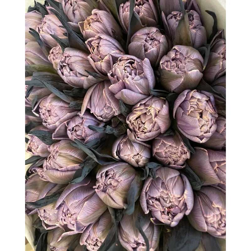 Noradrenaline Tulips — foto 2