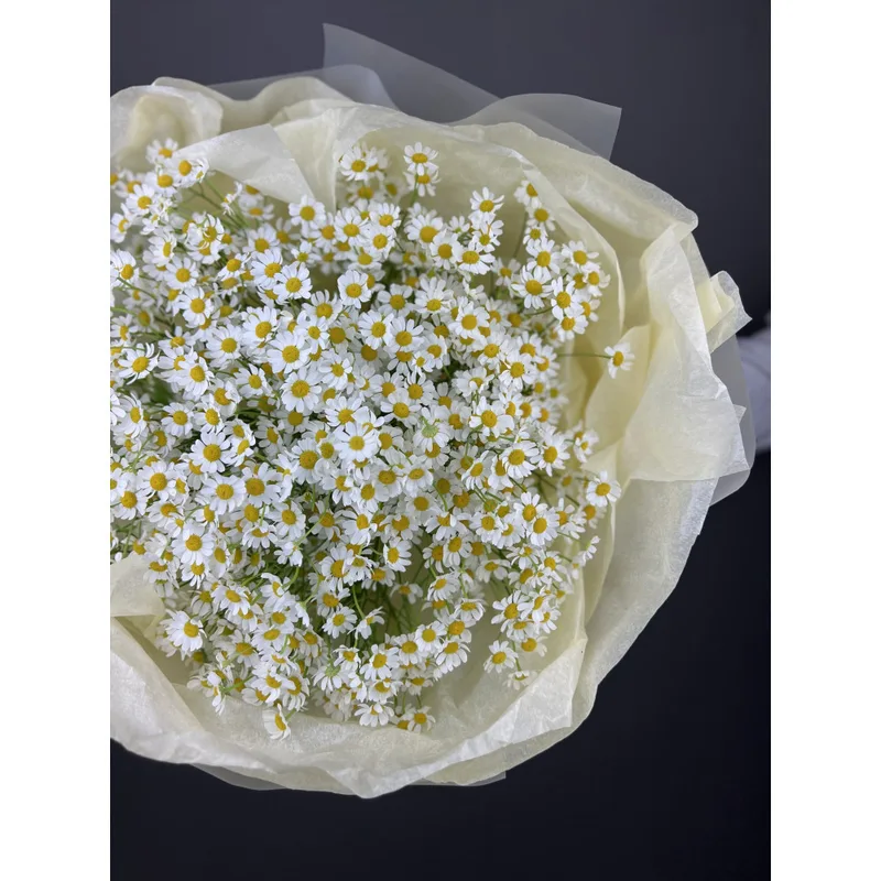 Camomile Bouquet — foto 2