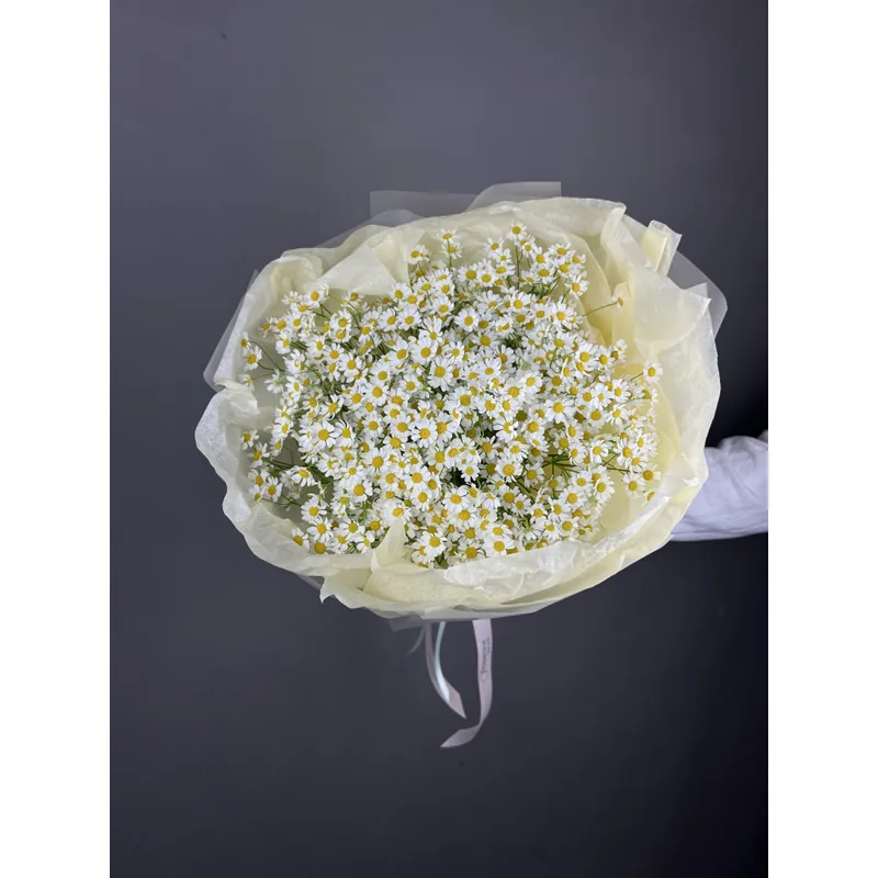 Camomile Bouquet
