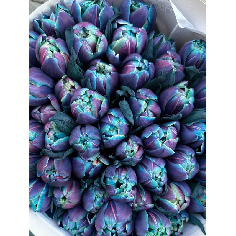 Dopamine Tulips — foto 2