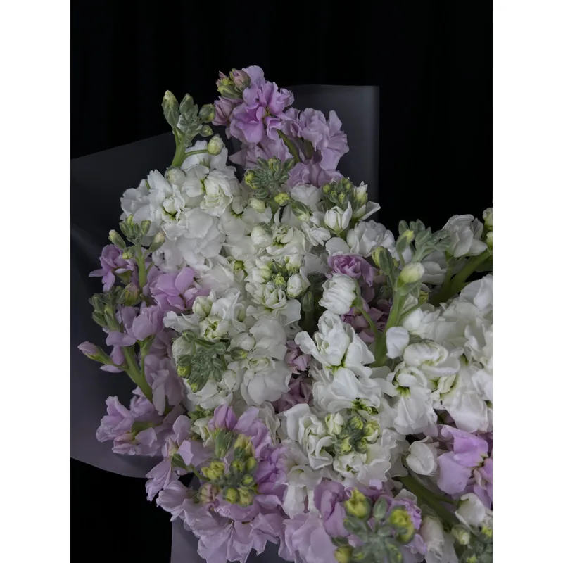 Matthiola Bouquet — foto 2