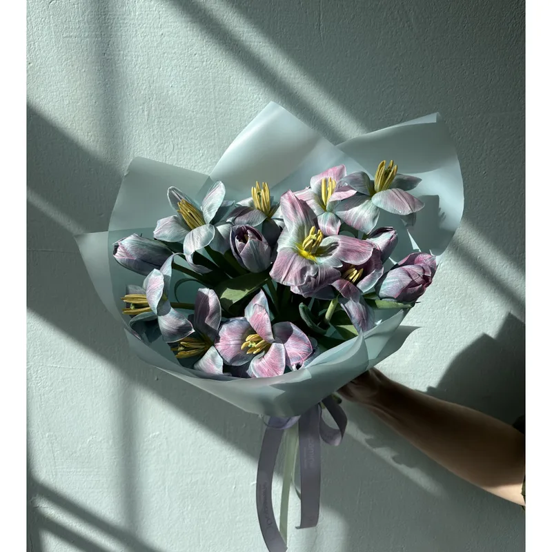 Serotonine Tulips