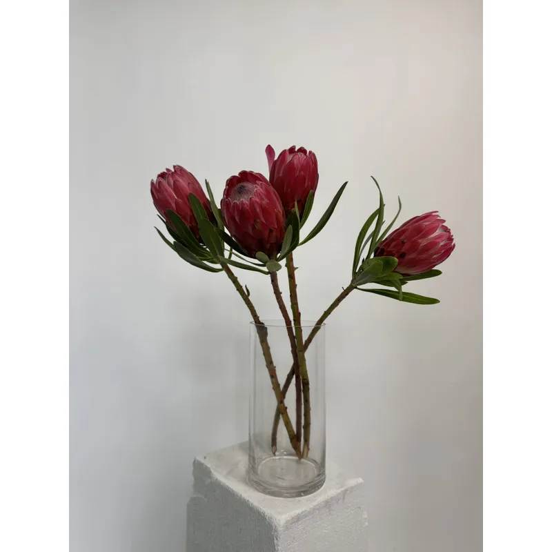 Glass Vase 2