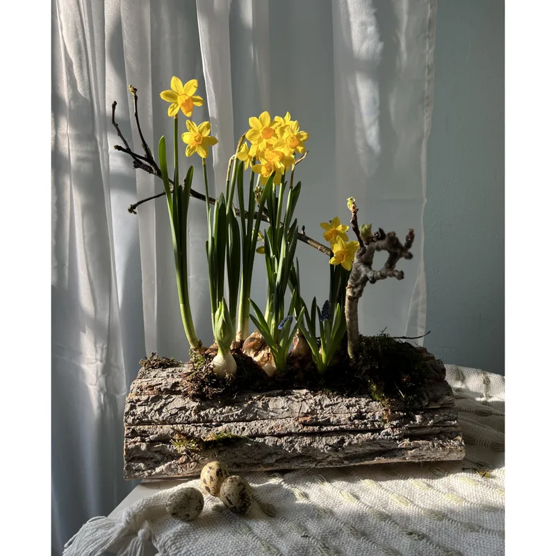 Spring Refresh — foto 2