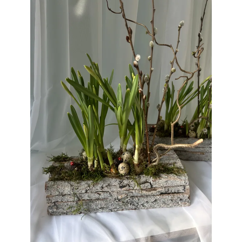 Spring Refresh