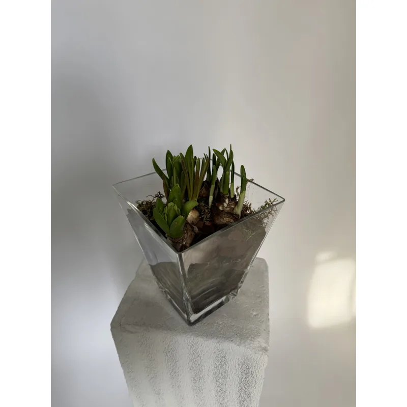 Spring Composition in Glass