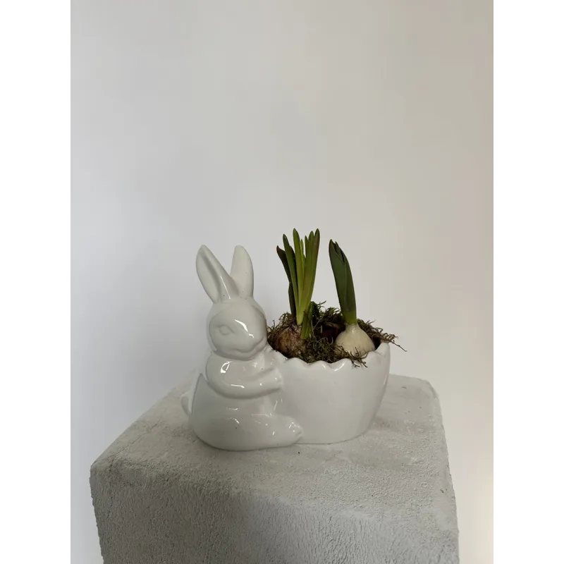 The Easter Bunny — foto 4